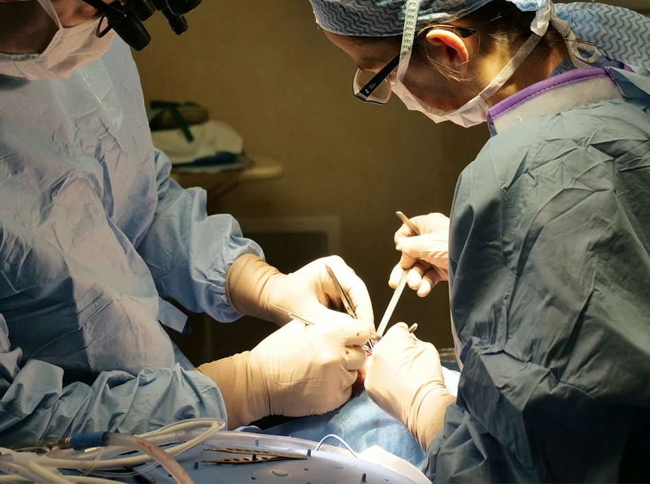 Ứng dụng của thiết bị nội soi và phụ kiện