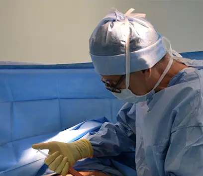 Khám phá Học Viện cak